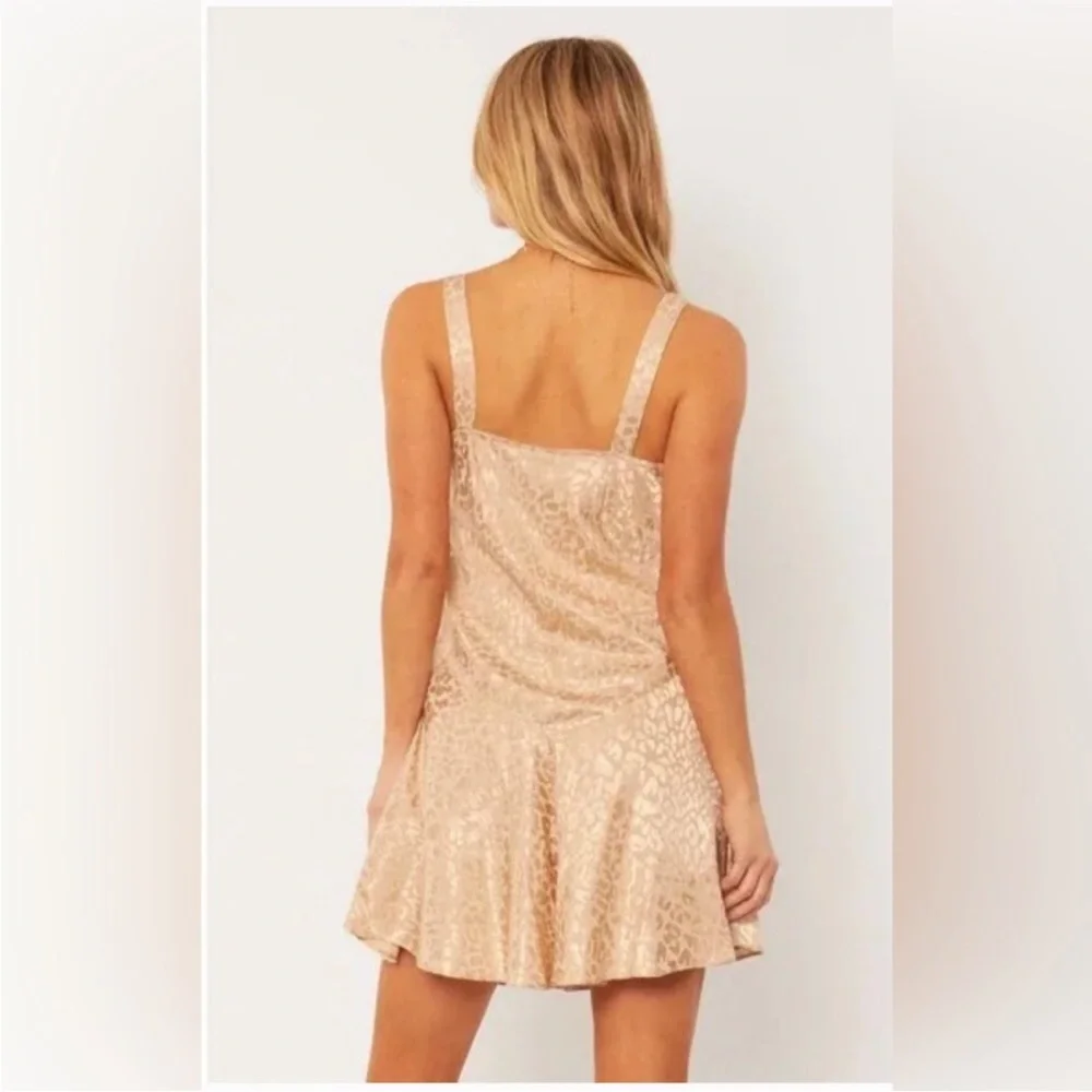 Amuse Society mini dress (XS) - Picture 8 of 11